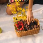What Is Coco Coir? How To Use Coconut Coir In The Garden