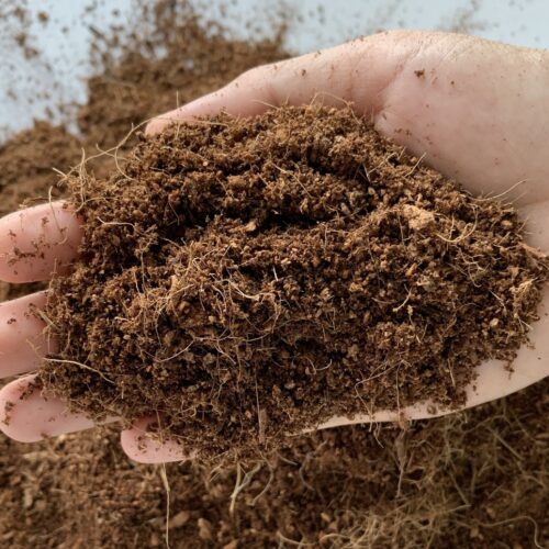 What Is Coco Coir? How To Use Coconut Coir In The Garden