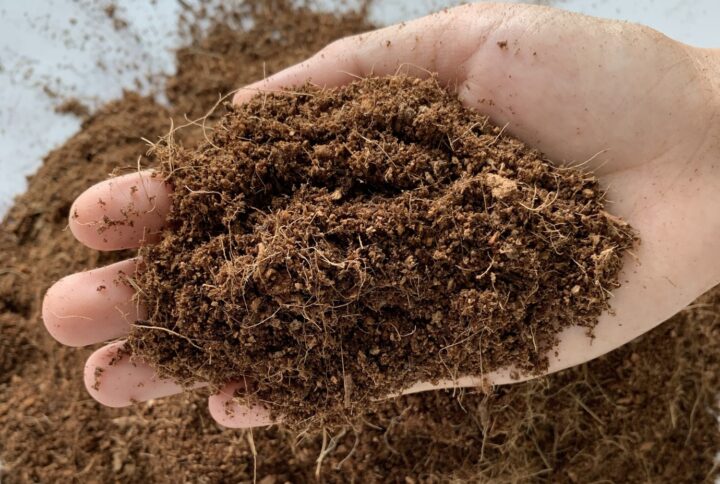 What Is Coco Coir? How To Use Coconut Coir In The Garden