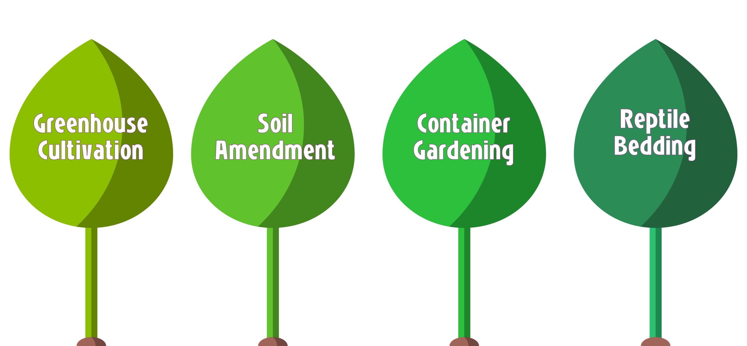 Common Uses