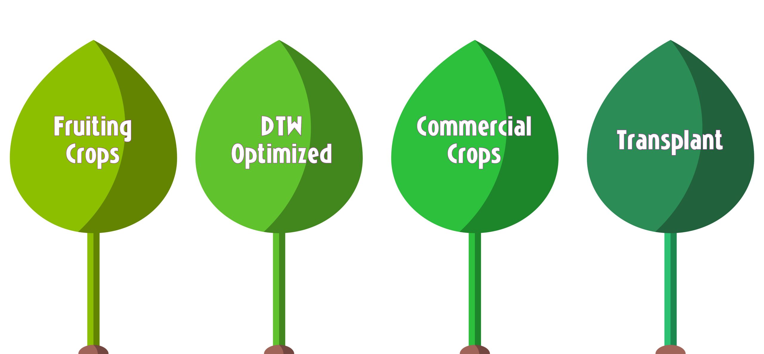 Common Uses